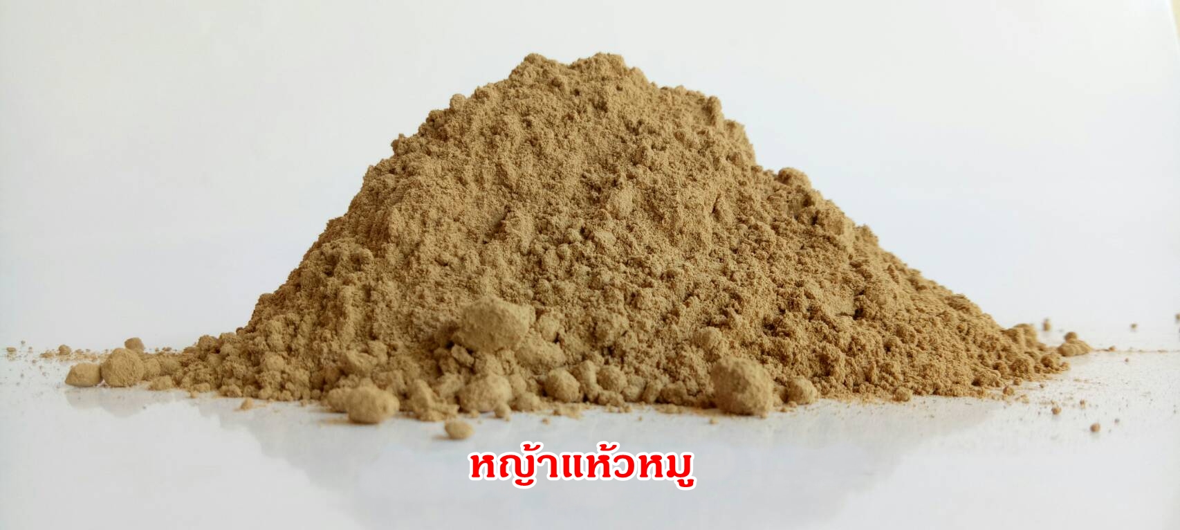 ผงแห้วหมู 100% (Coco grass Powder)