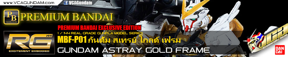 RG GUNDAM ASTRAY GOLD FRAME กันดั้ม สเทรย์ โกลด์ เฟรม
