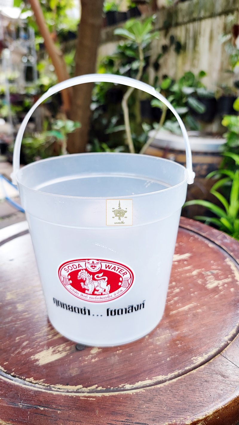 กระติกน้ำแข็ง สิงห์