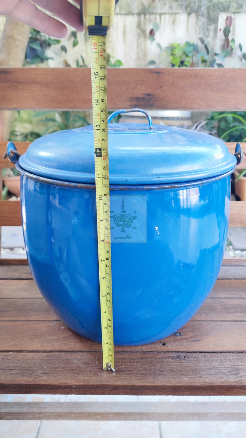 หม้ออวย ใบใหญ่