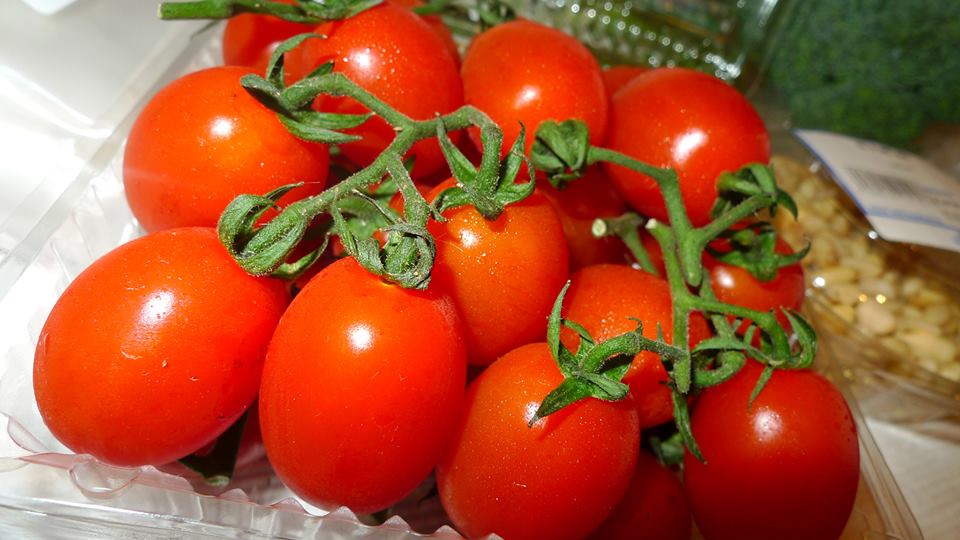 มะเขือเทศโรมา Roma Tomato 50 เมล็ด