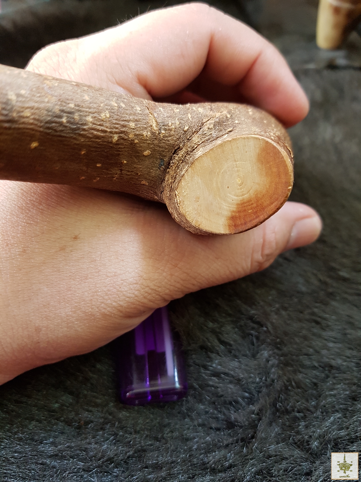 ไม้ญี่ปุ่น