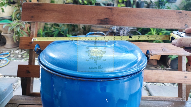 หม้ออวย ใบใหญ่