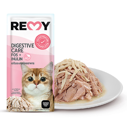 REMY cat เรมี่ อาหาเปียกแมว ขนาด 70g