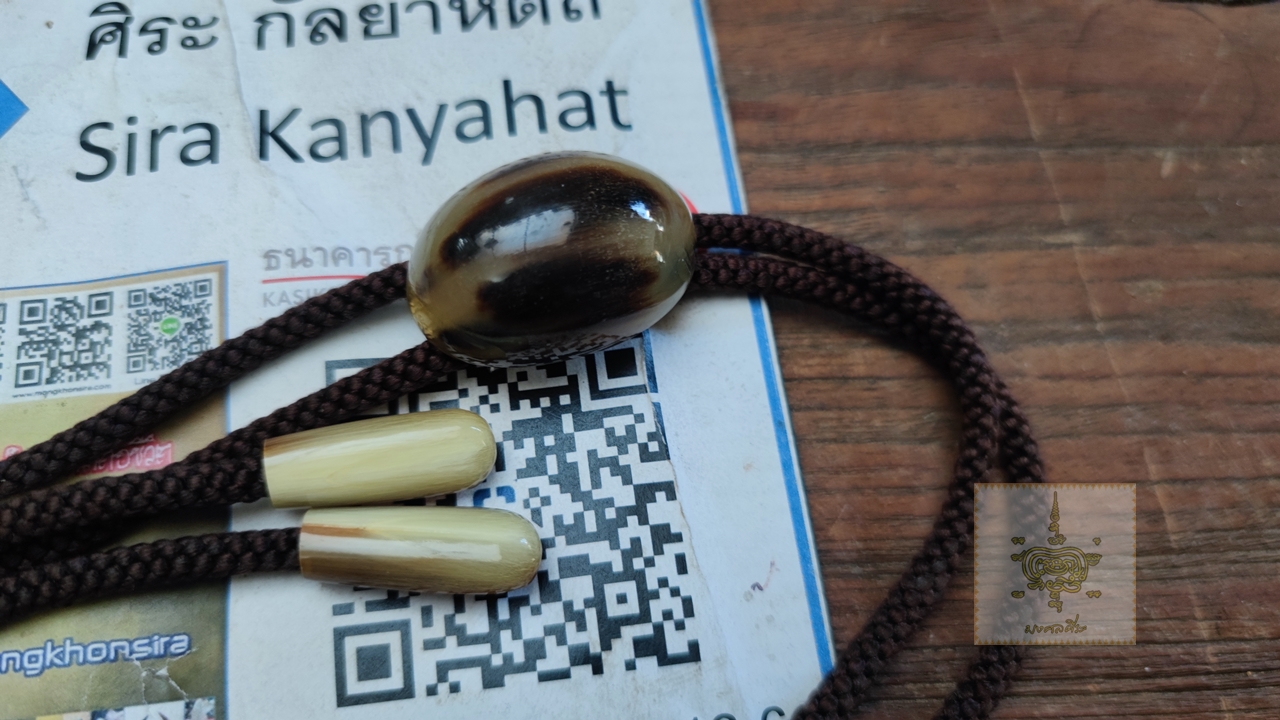 โบโลไทด์ คาวบอย