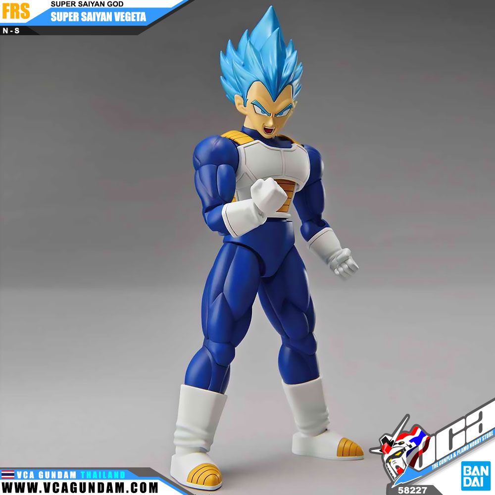 Figure-Rise Standard SUPER SAIYAN GOD SUPER SAIYAN VEGETA