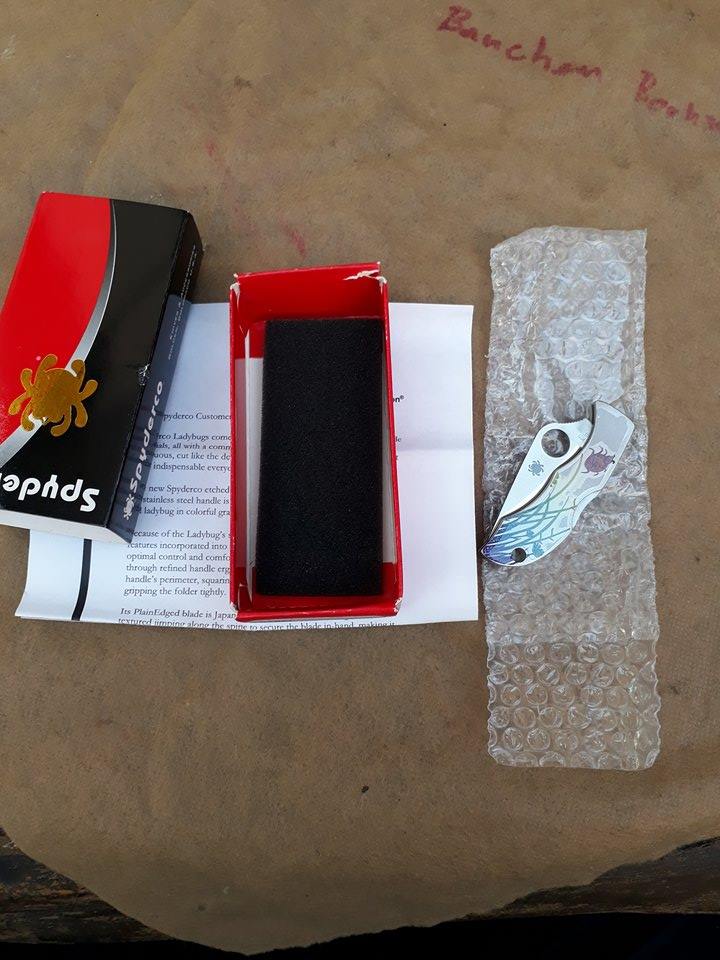 Spyderco Ladybug Tattoo Plain Edge Knife - LSSP3T