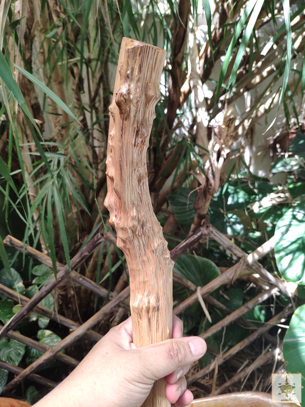 ไม้เท้า ไม้กระดูก