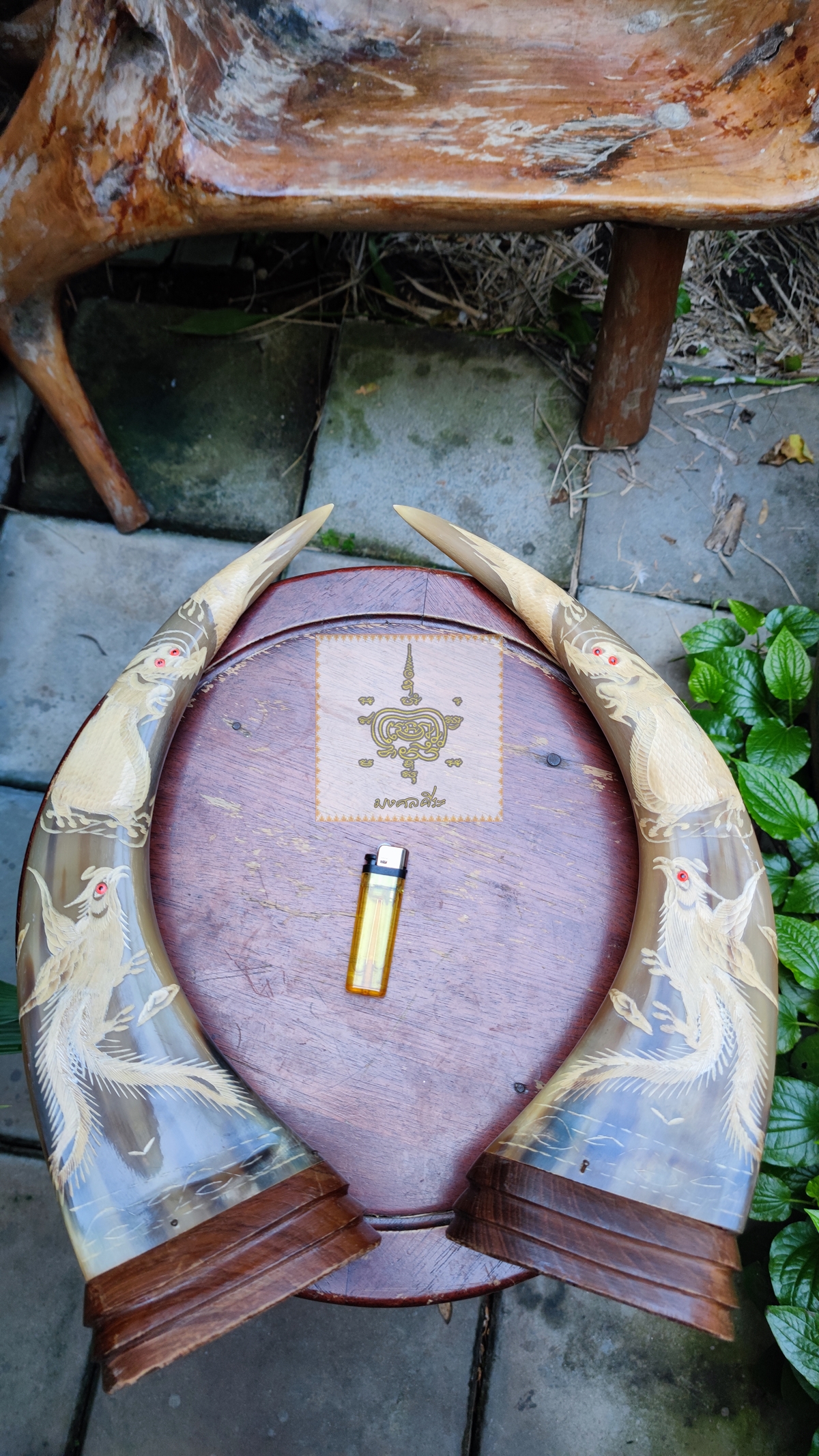 เขาควายเผือก 4