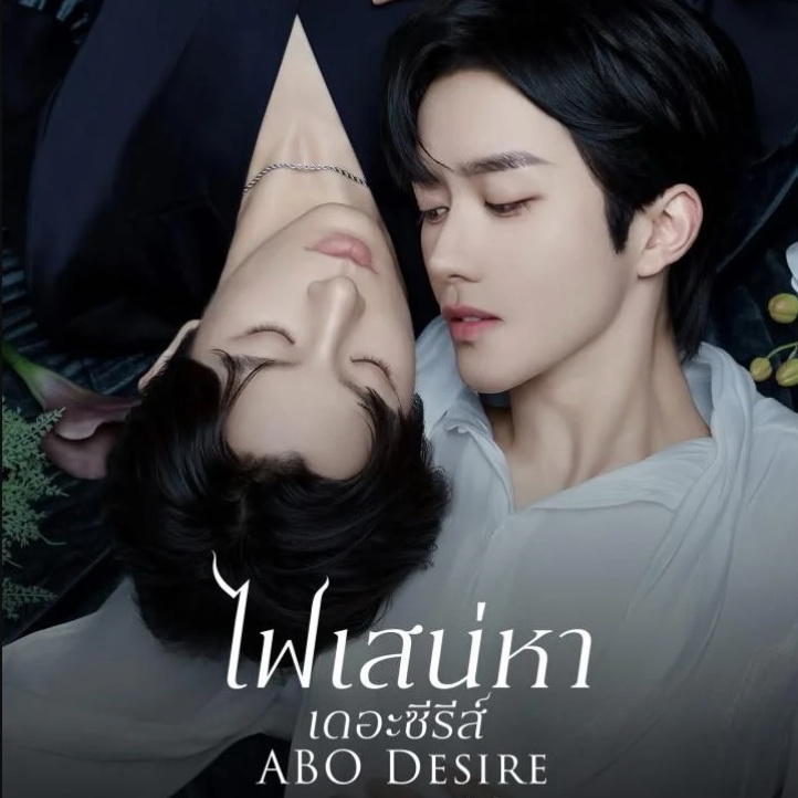 [จีนพากย์ไทย] ไฟเสน่หาเดอะซีรีส์ เกมร้ายใคร่รัก ABO Desire DVD 4 แผ่น