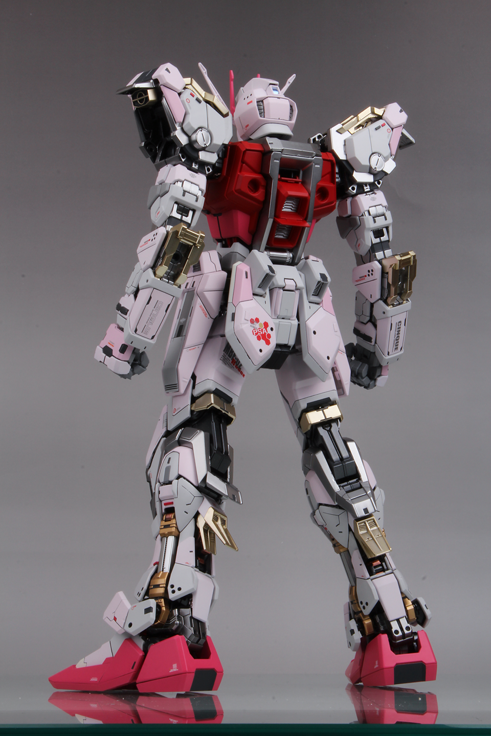 Painted Build : PG STRIKE ROUGE & SKYGRASPER by power03311