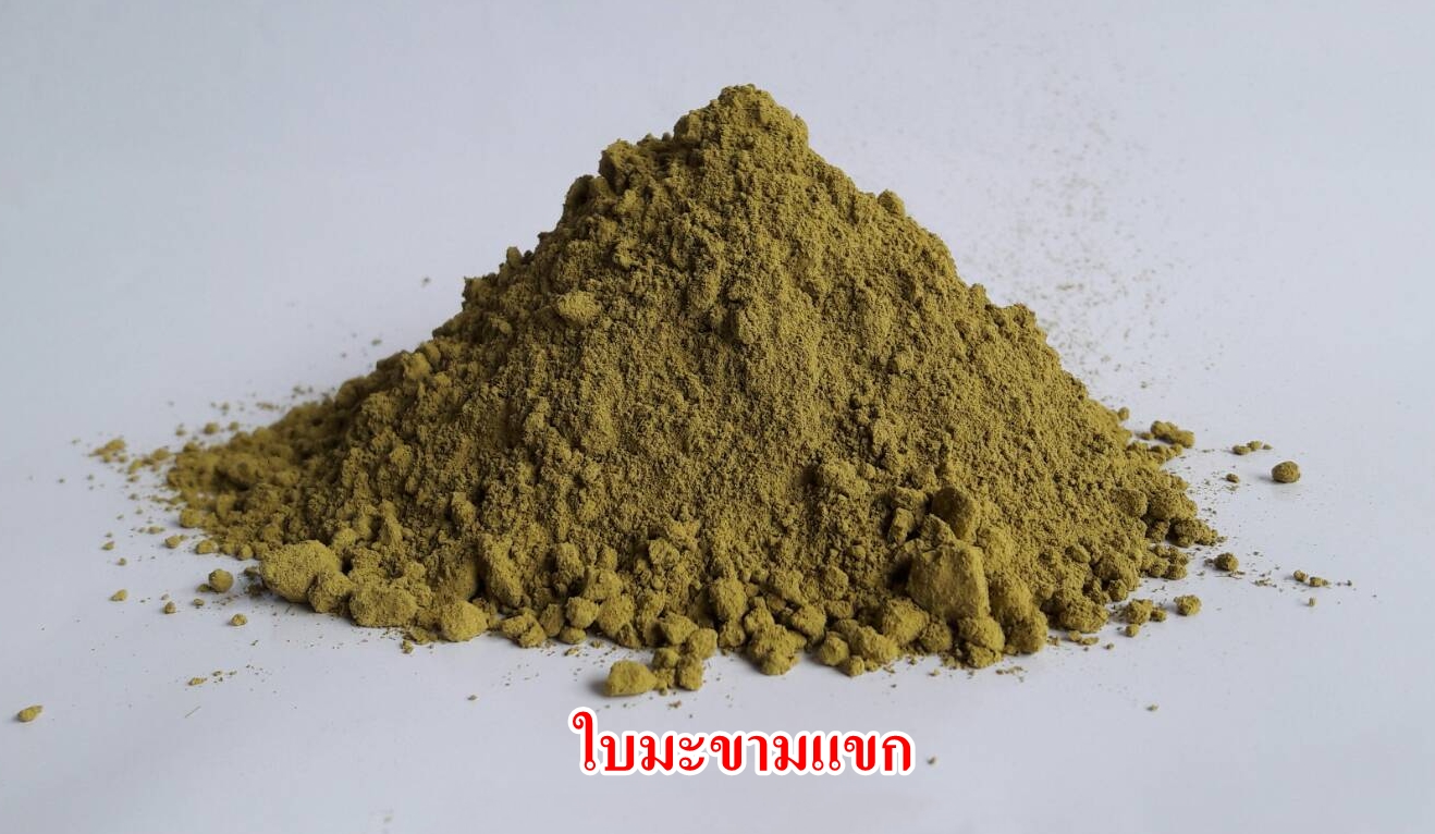 ผงใบมะขามแขก 100% (Senna Leaves Powder)