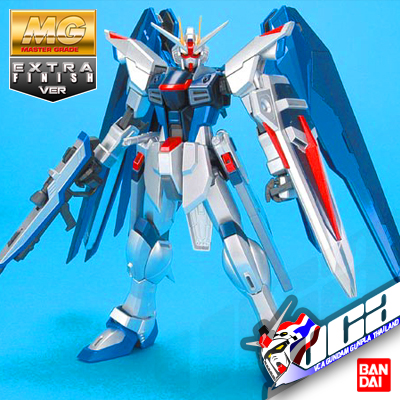 MG FREEDOM GUNDAM EXTRA FINISH VERSION