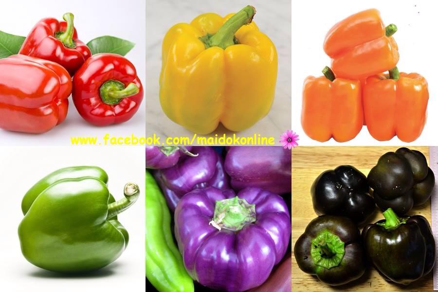 พริกหวานรวม 5 สี เขียว,แดง,เหลือง,ส้ม,ม่วง 20-25 เมล็ด (ชุดเล็ก)