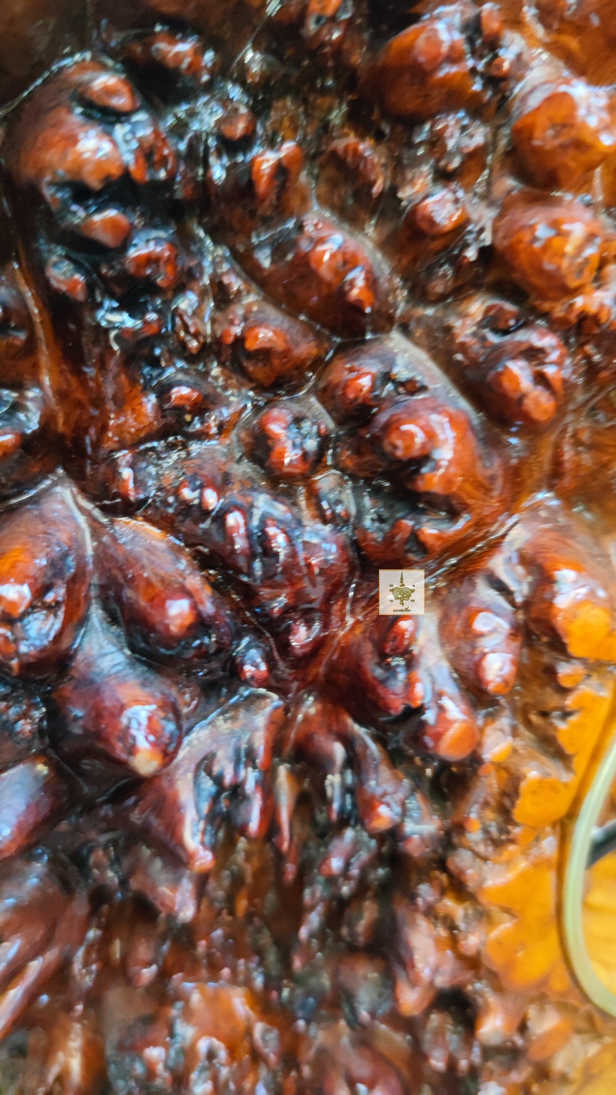 นาฬิกาปุ่มไม้ มะค่า 6