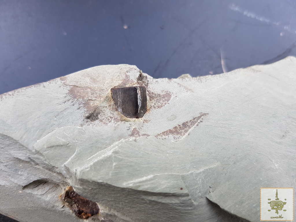 ข้าวตอกพระร่วง ติดหินกำเนิด