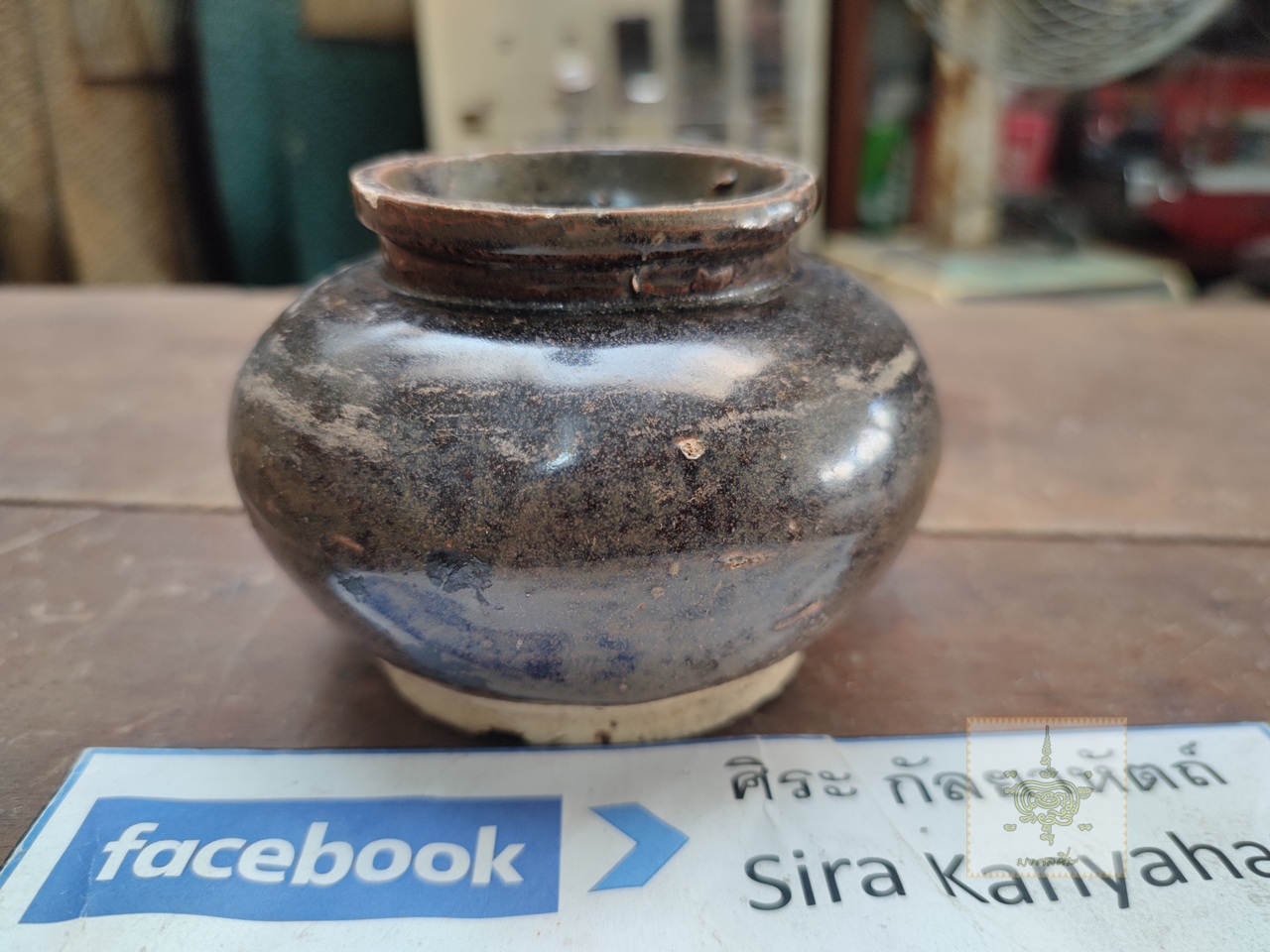 กระปุกตั้งฉ่าย สีสวาท