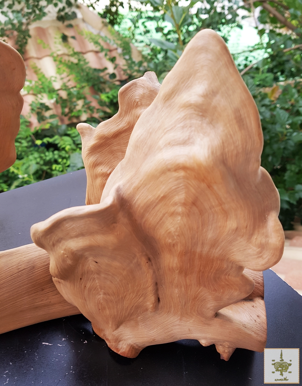 ขอนไม้แปลก