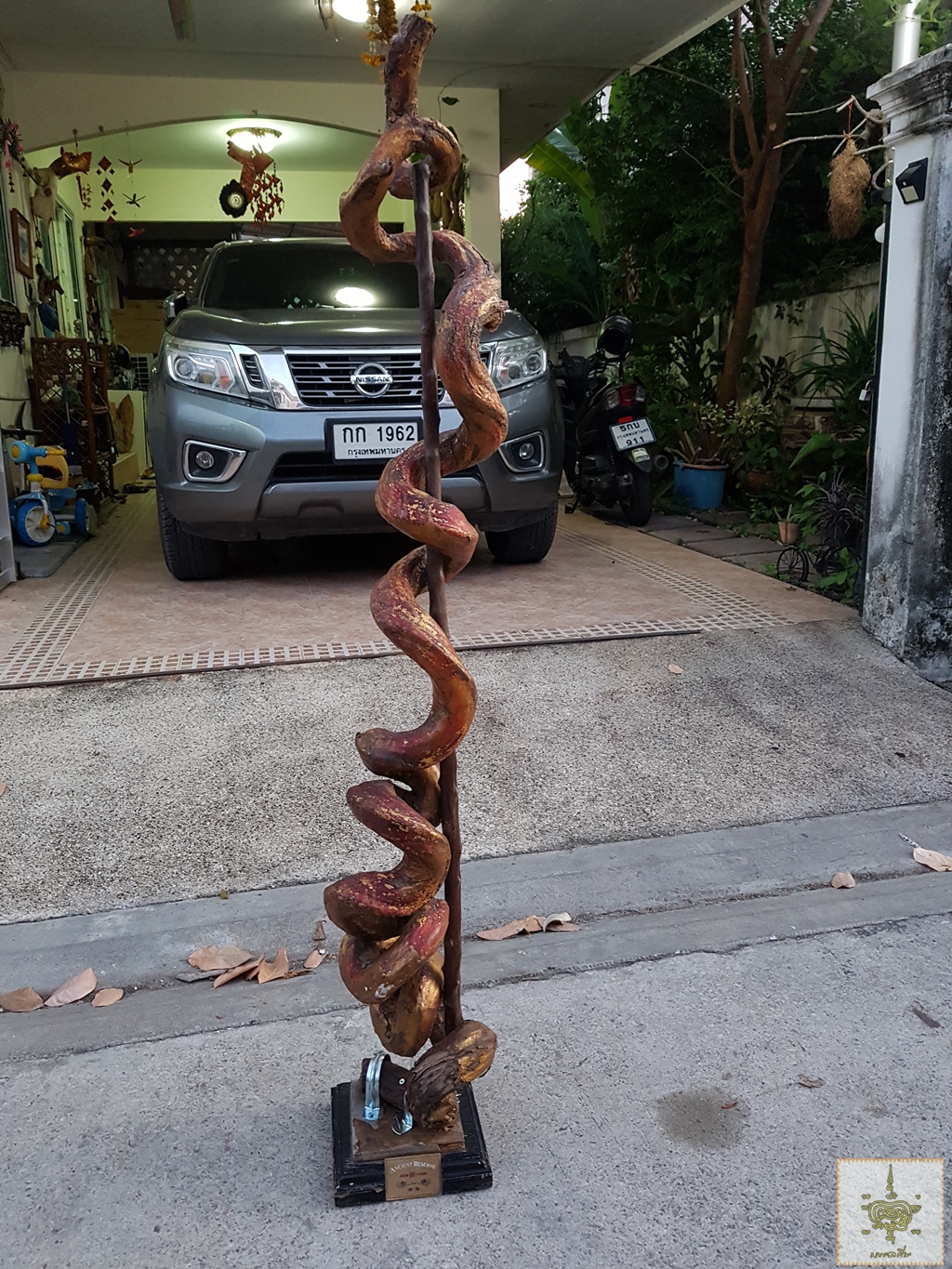 เถาวัลย์หลงเก่า