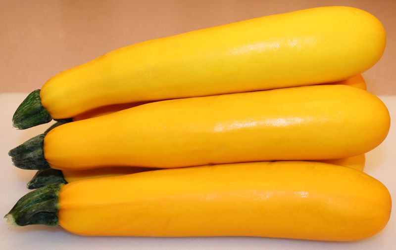 เมล็ดพันธุ์ซูกินี สีเหลือง (Yellow zucchini) 12 เมล็ด