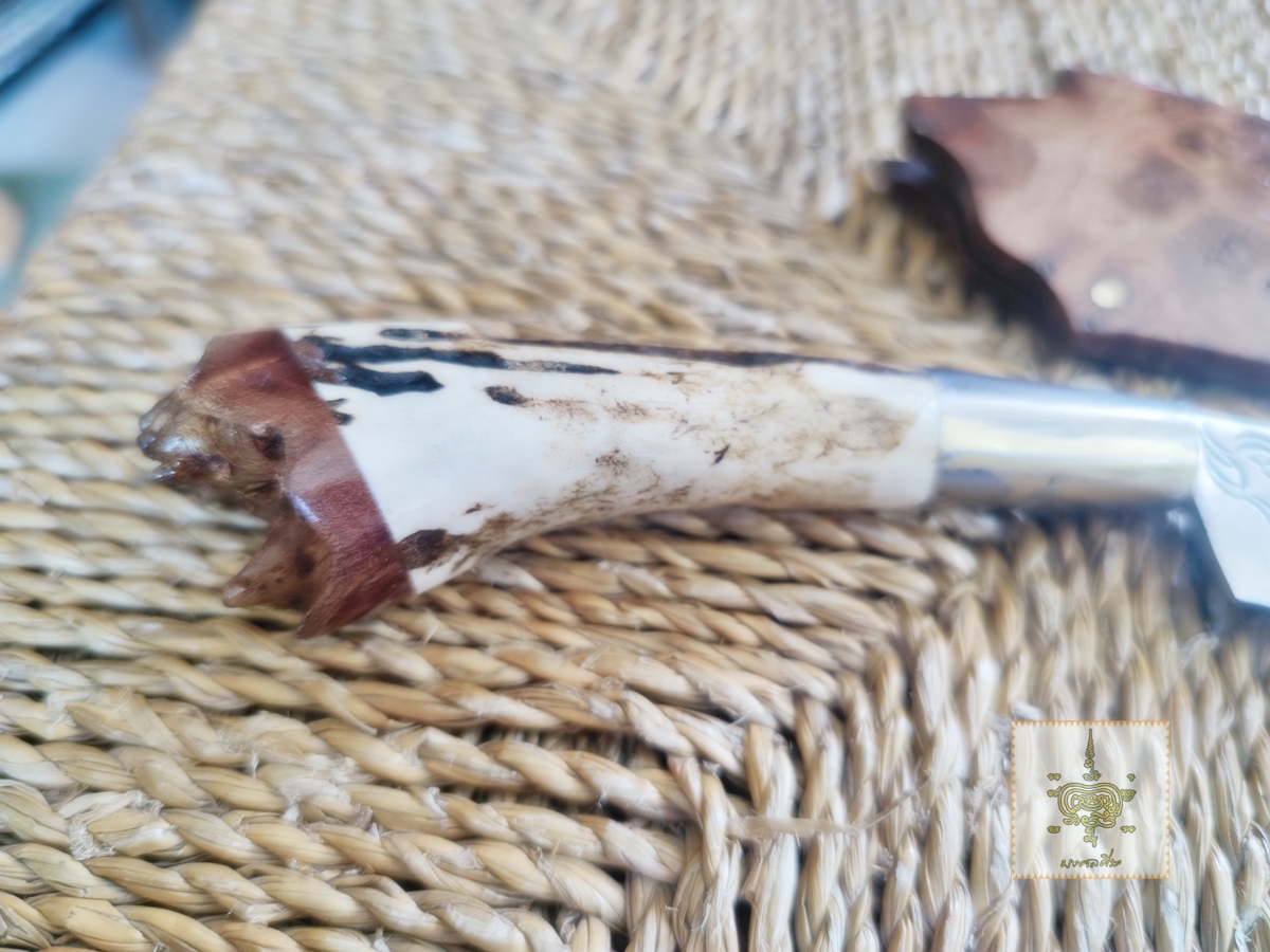 มีดเหน็บเล็ก เขากวาง ฝักไม้ปุ่ม