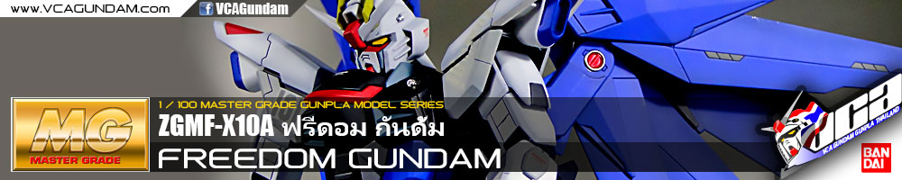 MG FREEDOM GUNDAM ฟรีดอม กันดั้ม