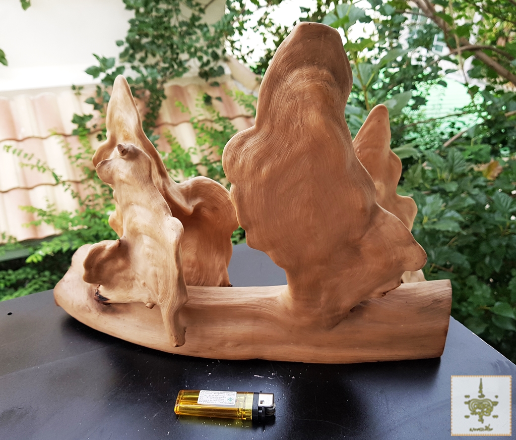 ขอนไม้แปลก