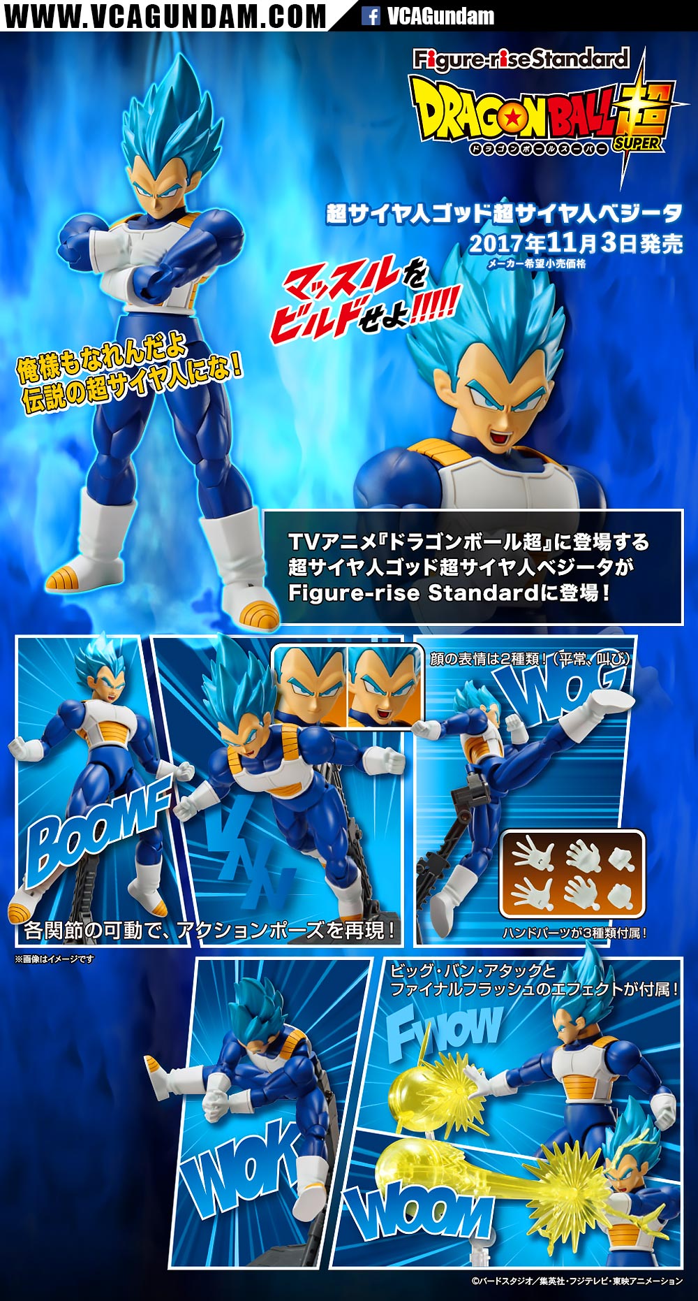 Figure-Rise Standard SUPER SAIYAN GOD SUPER SAIYAN VEGETA