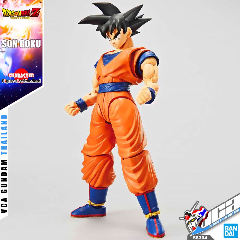FRS SON GOKOU