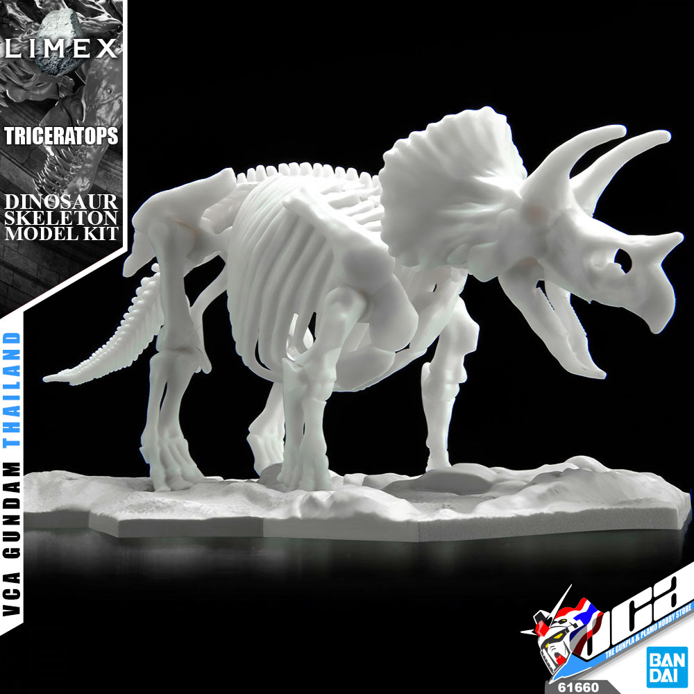 🔥【SALE】LIMEX SKELETON TRICERATOPS