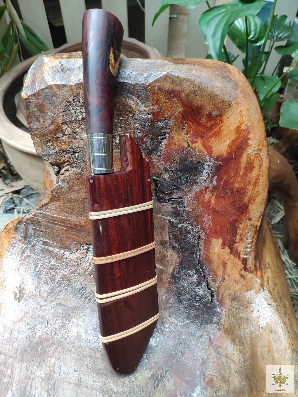 มีด จี หนองสอ 8 นิ้ว