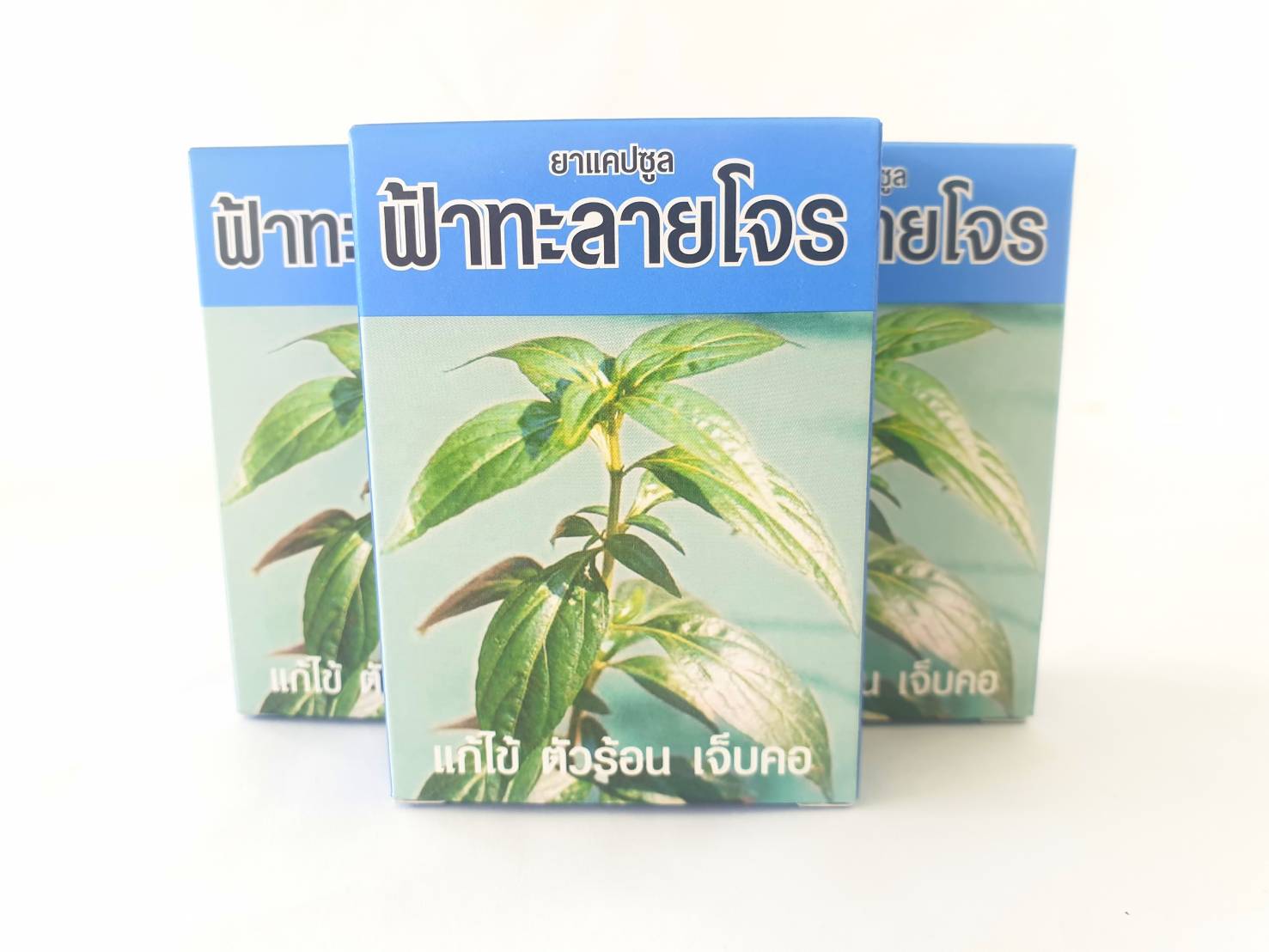 ยาแคปซูล ฟ้าทะลายโจร (ขนาด 30 แคปซูล)