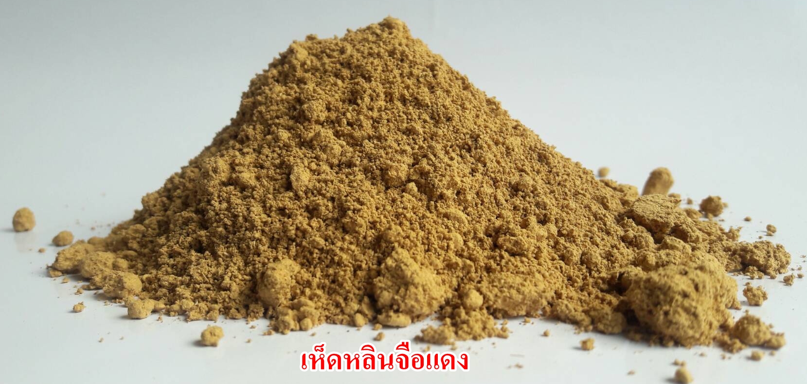ผงเห็ดหลินจือแดง 100% (Red Reishi Powder)