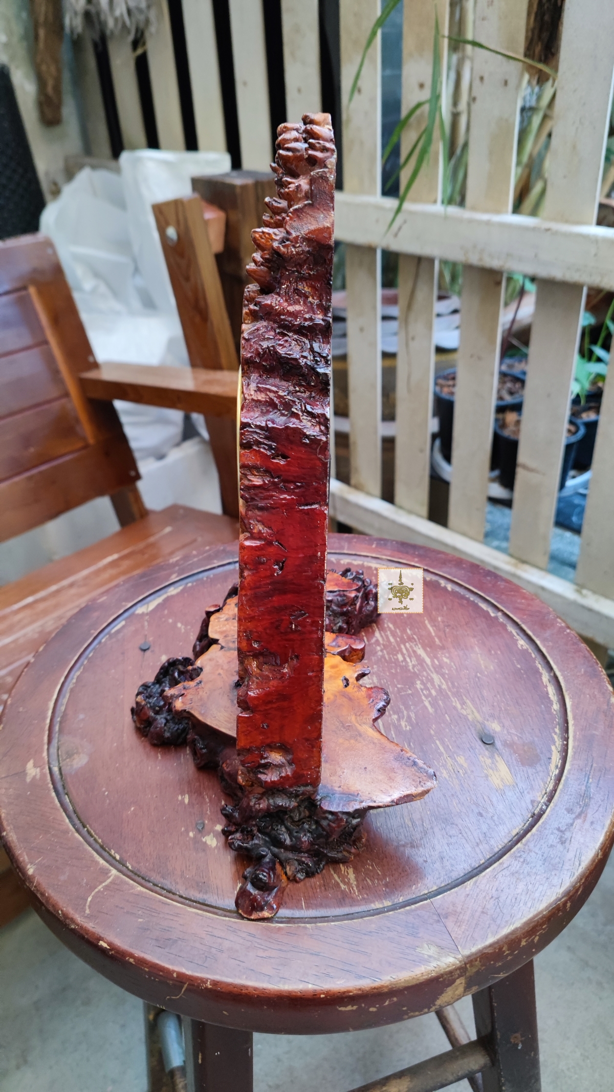 นาฬิกาปุ่มไม้ มะค่า 6