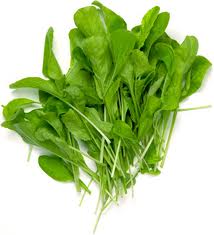 เมล็ดผักสลัด Arugula Rocket ถุงละ 200 เมล็ด