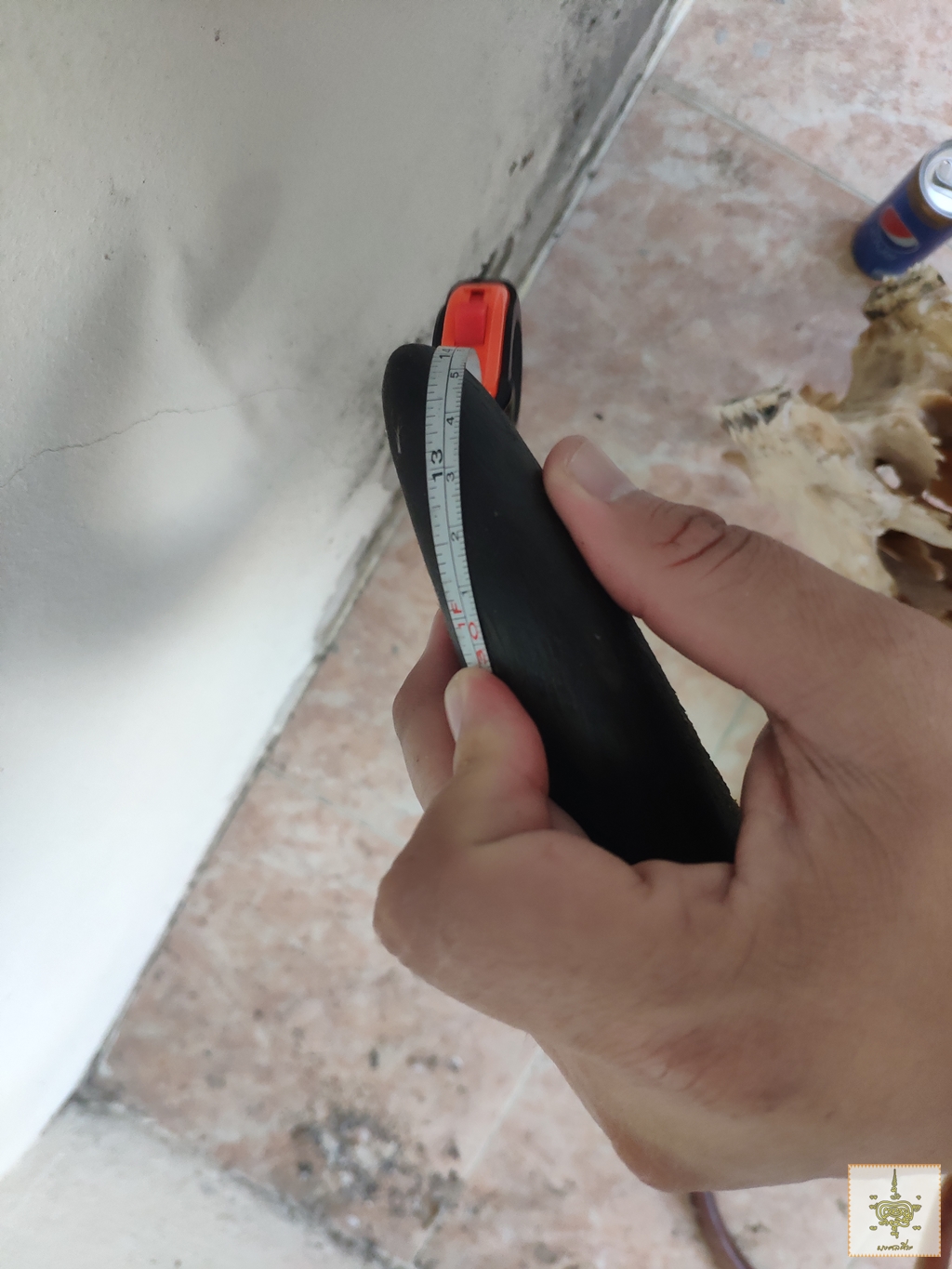 เขาวัว เหวี่ยงหลัง