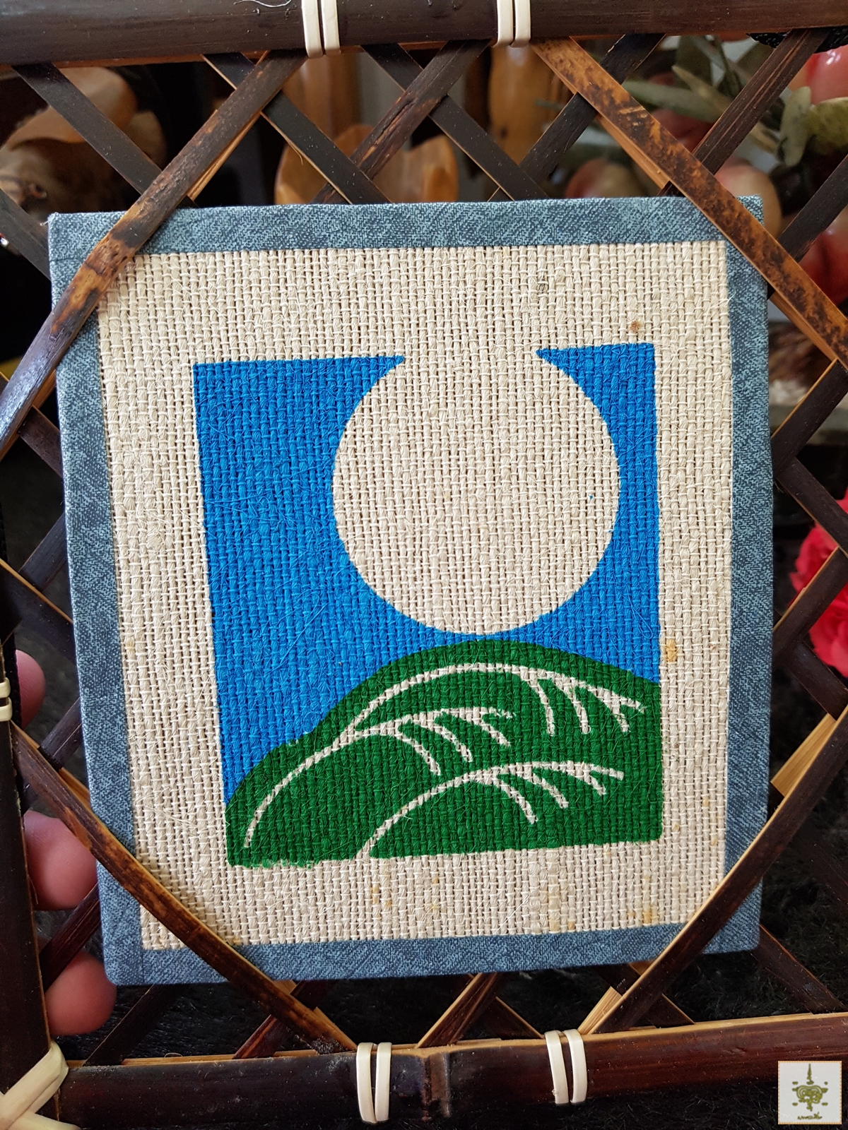 รูปผ้าโชว์ญี่ปุ่น