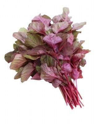 เมล็ดพันธุ์ ผักโขมแดง Red Amaranth 300 เมล็ด