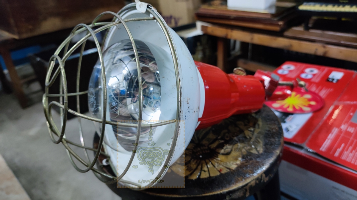 โคมไฟ Spotlight งานญี่ปุ่น