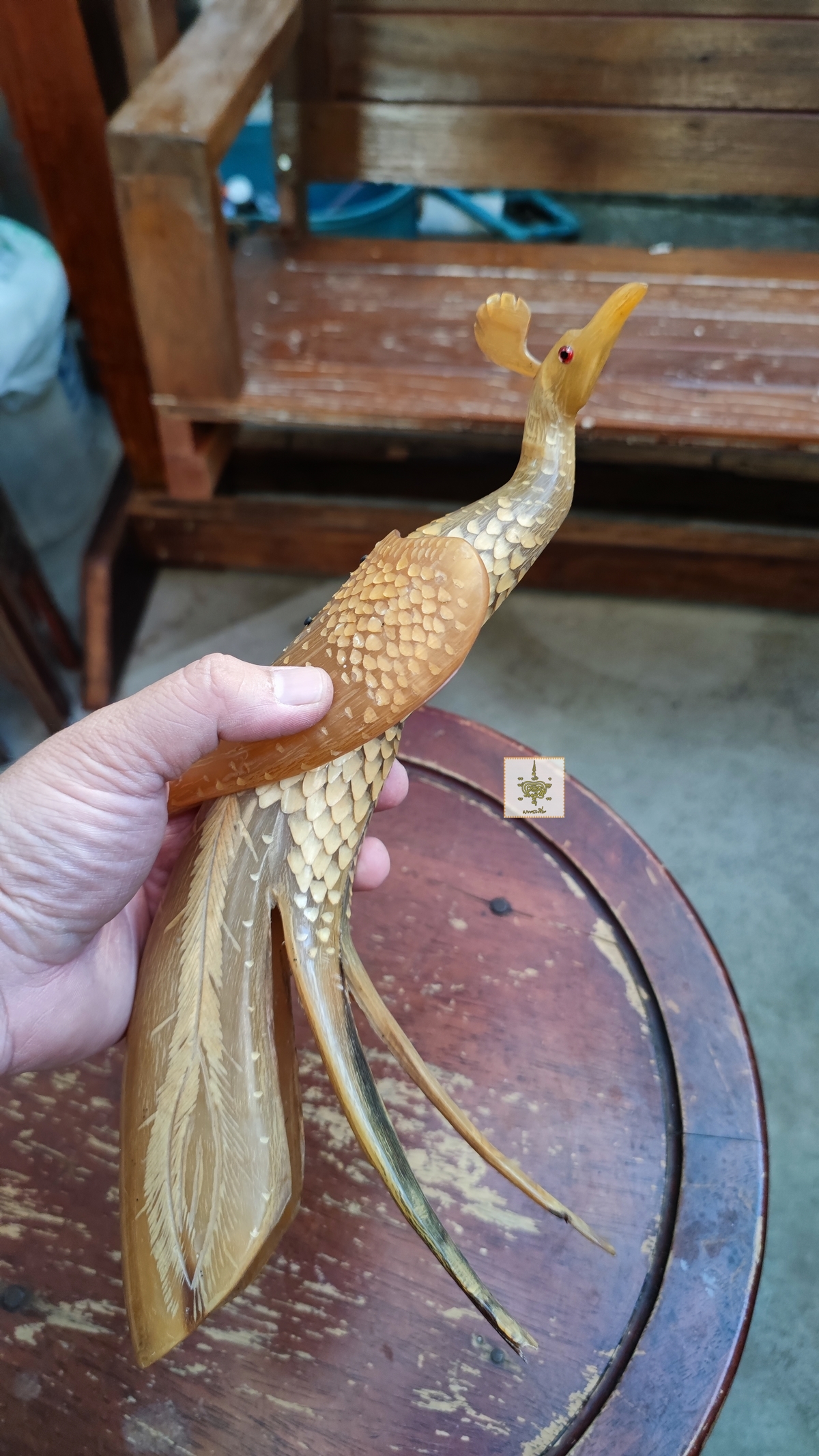 นกยูง เขาควายเผือก