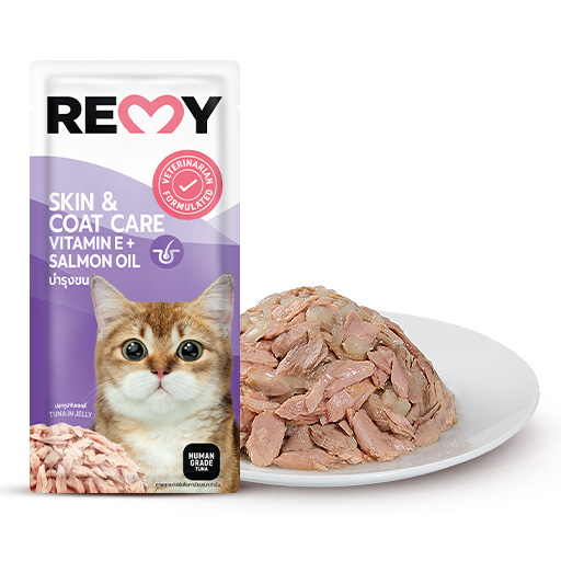 REMY cat เรมี่ อาหาเปียกแมว ขนาด 70g