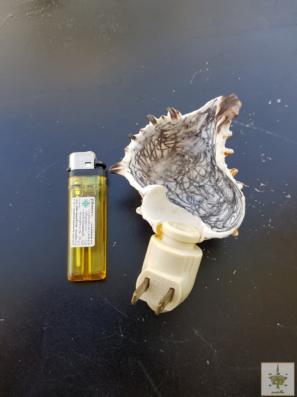 โคมไฟหอย