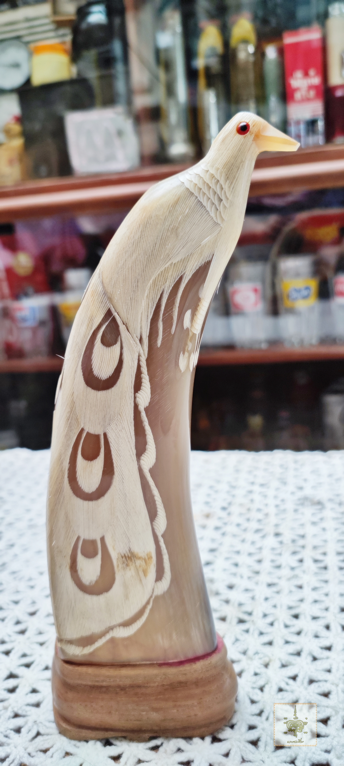 นกยูง คู่ เขาควายเผือก