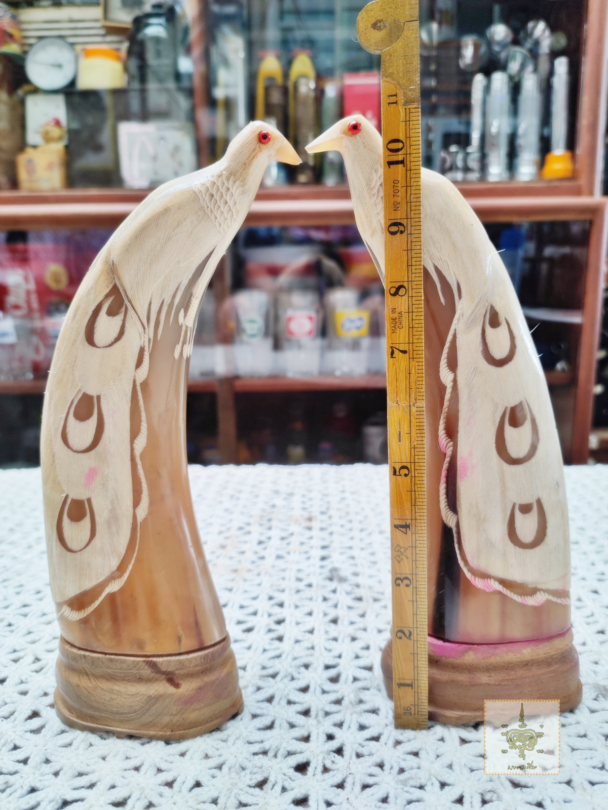 นกยูง คู่ เขาควายเผือก