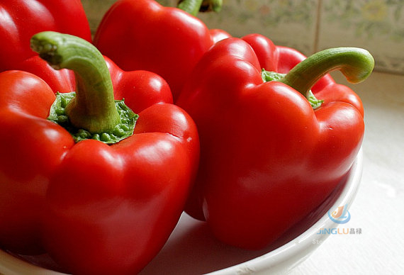 พริกหวานรวม 5 สี เขียว,แดง,เหลือง,ส้ม,ม่วง 20-25 เมล็ด (ชุดเล็ก)