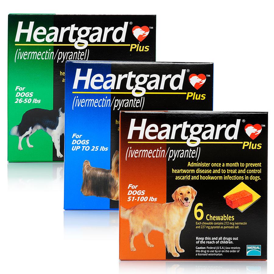 Heartgard ฮาร์ทการ์ด พลัส ยาป้องกันโรคพยาธิหัวใจ สำหรับสุนัข แบบเคี้ยว