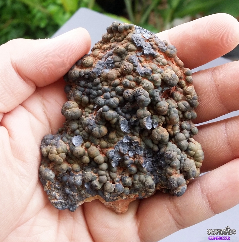 เหล็กไหลงอกเจ็ดสี เนื้อแข็ง