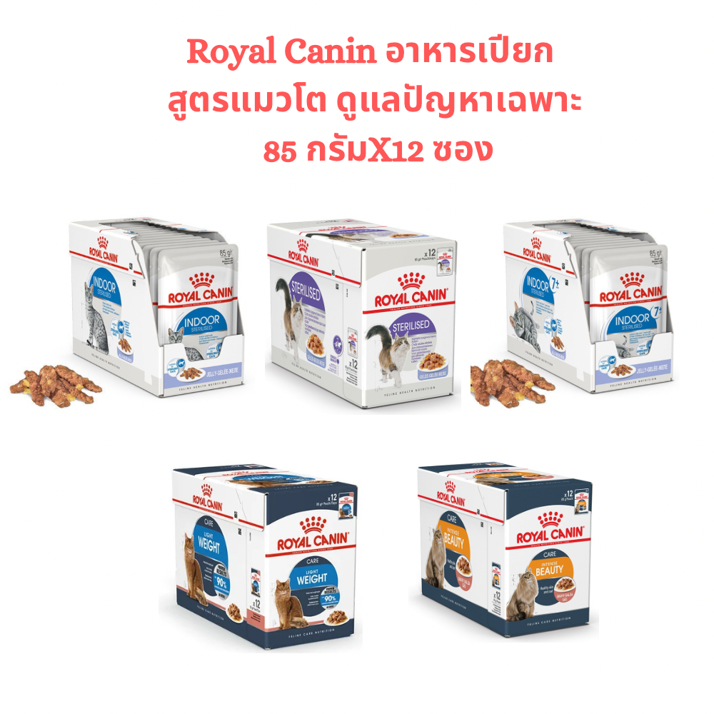 Royal Canin อาหารเปียก สูตรแมวโต ดูแลปัญหาเฉพาะ 85 กรัมX12 ซอง