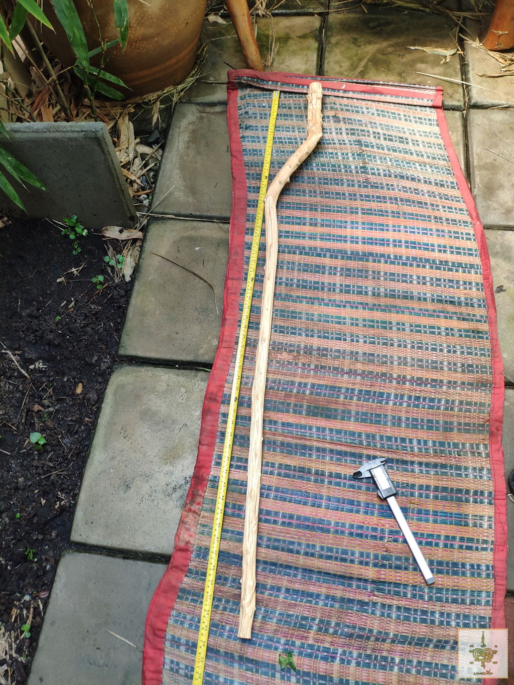 ไม้เท้า ไม้กระดูก