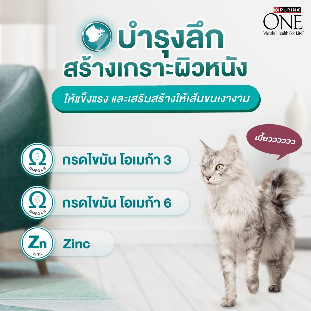 อาหารแมวเปียก Purina ONE 70g x 12